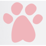 Ahimsa Safe Haven
