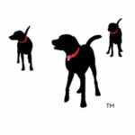 Bissell Pet Foundation