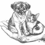 Cheboygan County Humane Society
