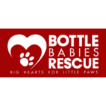Bottle Babies Rescue