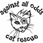 Against All Odds Cat Rescue